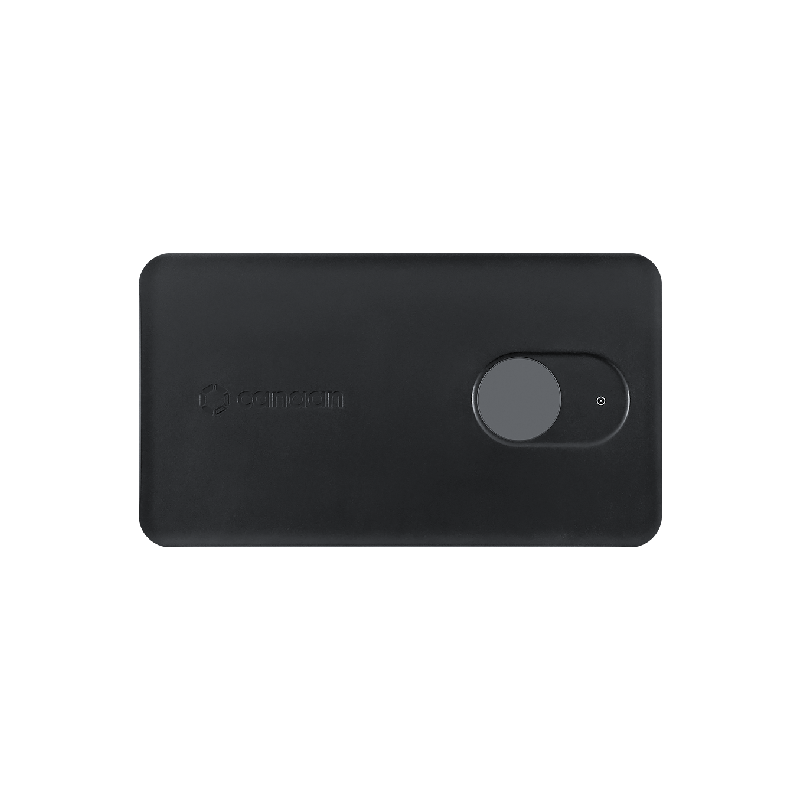 Auction Canaan Avalon Nano 3S