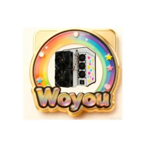 WOYOU Custom Antminer Fridge Magnet