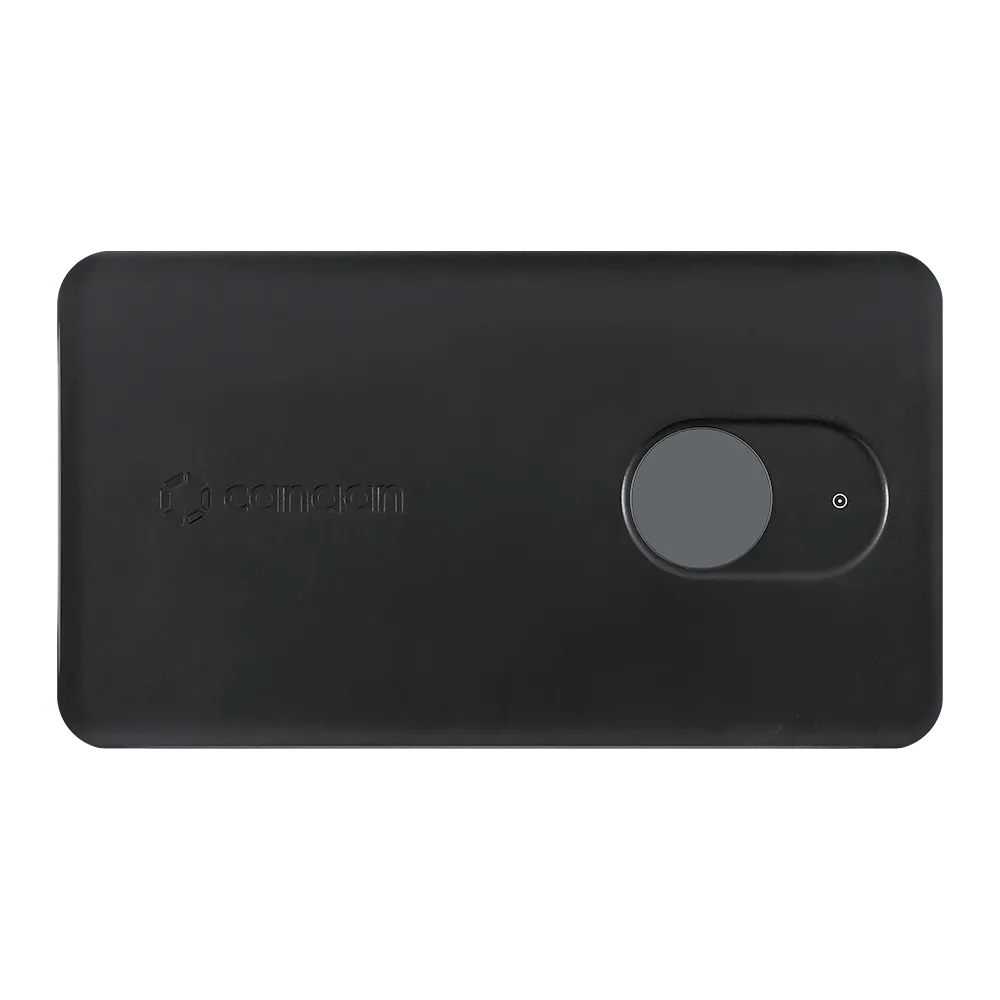 Canaan Avalon Nano 3S